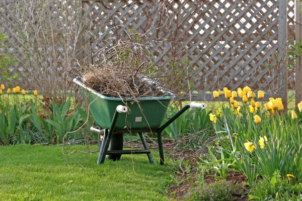 Flower Bed Cleanup Service in Southport