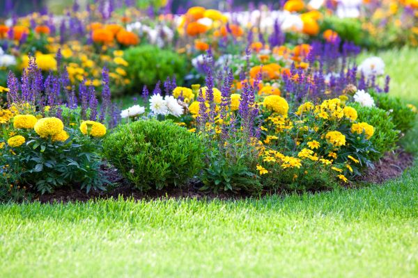 Flower Bed Maintenance in Southport