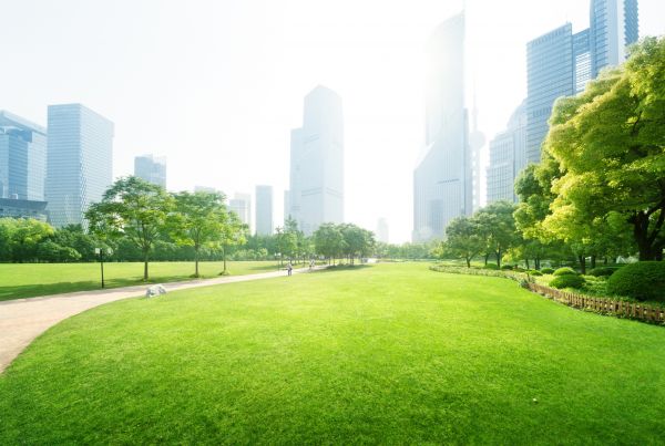 Commercial Landscape Maintenance in Southport