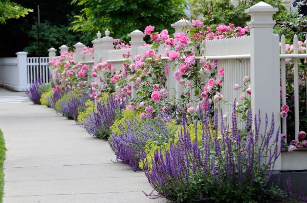 Garden Handyman Service in Southport