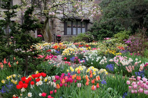 Garden Maintenance Service in Southport