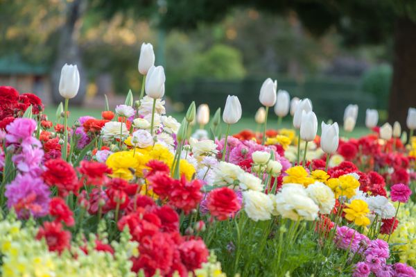 Gardening Service in Southport