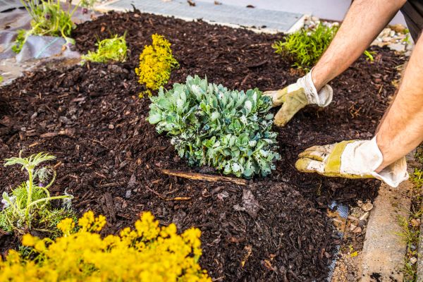 Weeding And Mulching in Southport