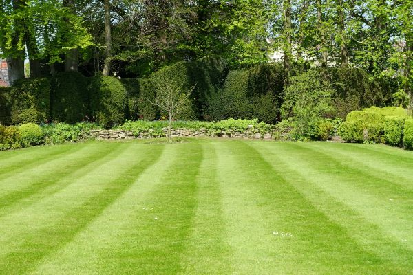Lawn Renovation in Southport