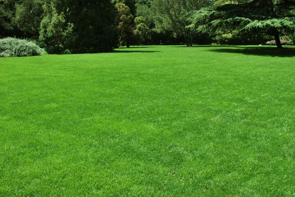 Lawn Landscaping in Southport