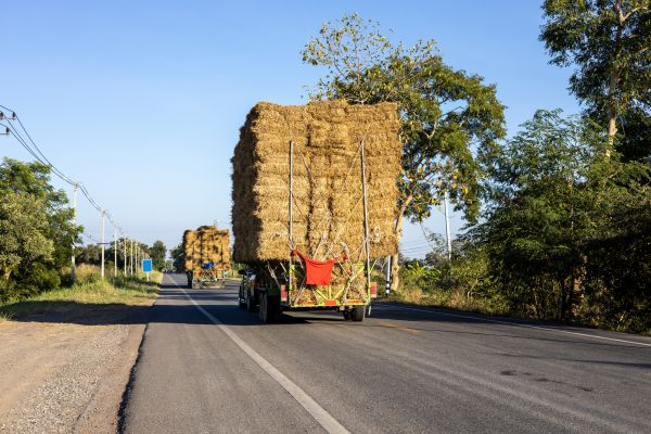 Pine Straw Delivery in Southport