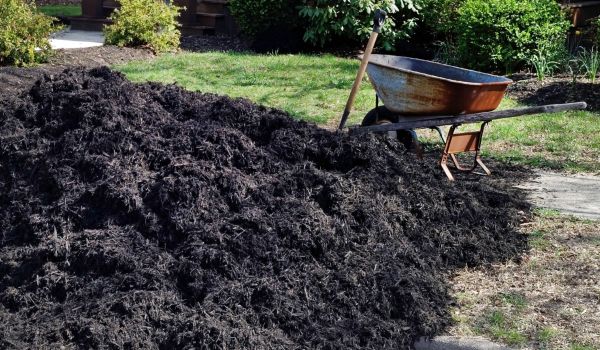 Black Mulch Delivery in Southport