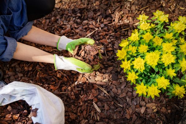 Garden Mulching in Southport
