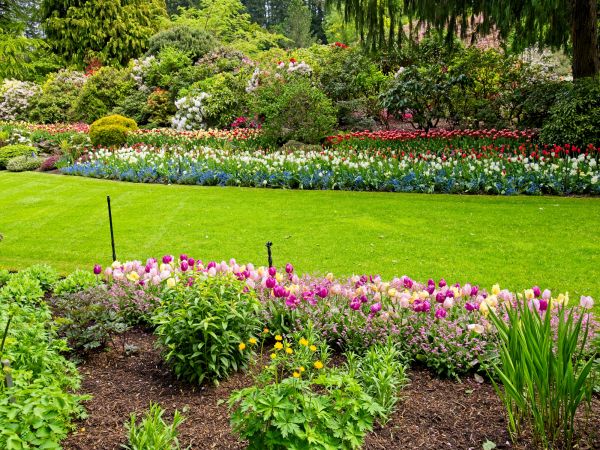 Residential Landscape Design in Southport