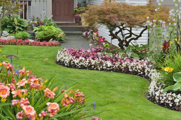 Perennial Landscaping in Southport
