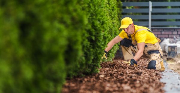Cypress Mulch Installation in Southport