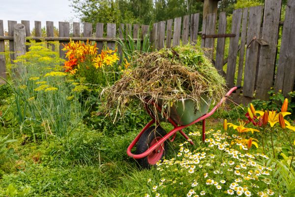 Garden Cleanup Service in Southport