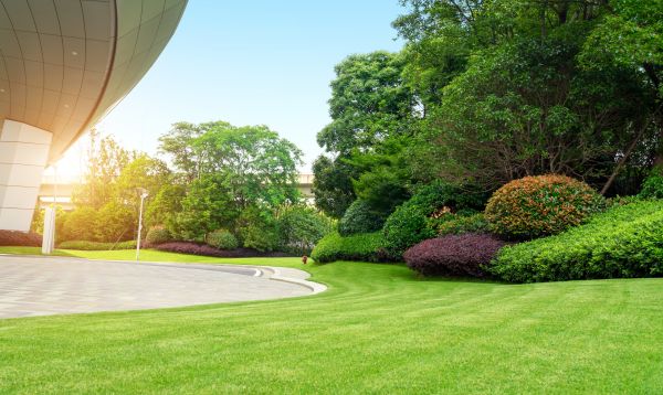 Business Landscape Design in Southport