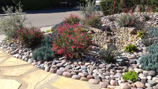 Xeriscape Landscaping in Southport