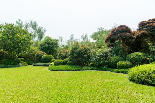 Tree Landscaping in Southport
