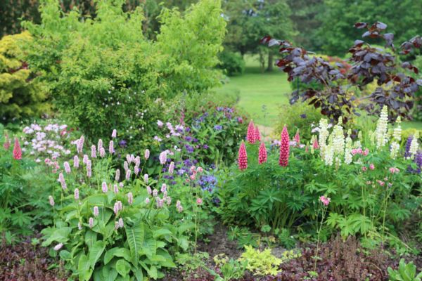 Flower Bed Planting in Southport