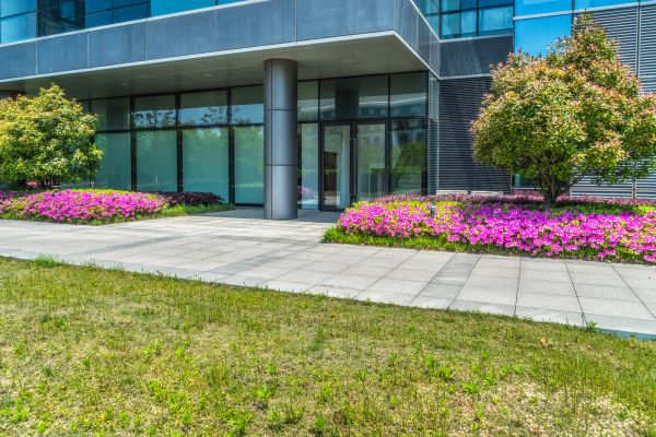 Commercial Gardening in Southport