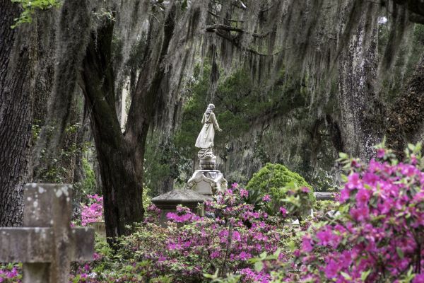 Cemetery Landscaping in Southport