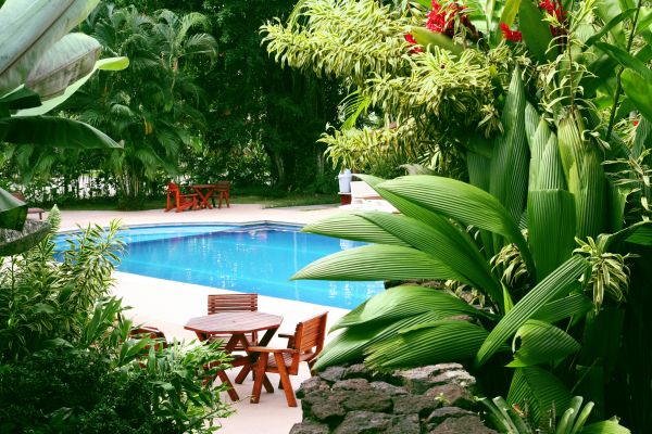 Tropical Garden Landscaping in Southport
