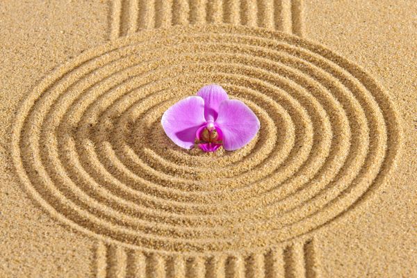 Sand Garden Landscaping in Southport