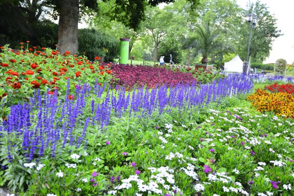 Perennials Planting in Southport