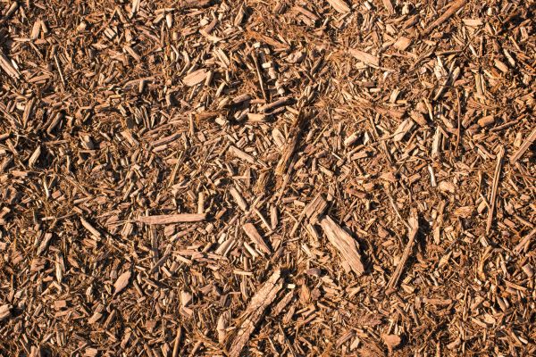 Wood Chips Removal in Southport