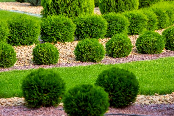 Bush Replacement in Southport