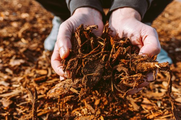 Bark Chips Delivery in Southport