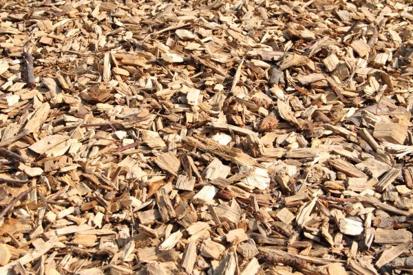 Wood Mulch Delivery in Southport