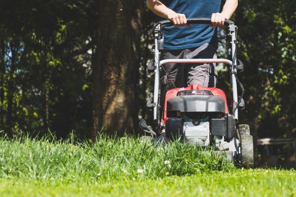 Garden Trimming Service in Southport
