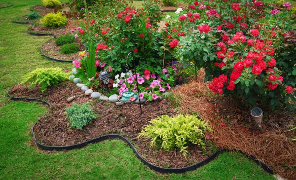 Floral Landscaping in Southport