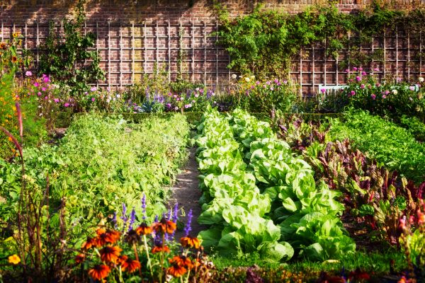 Garden Planting Service in Southport