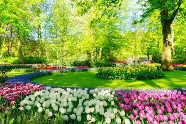 Flower Landscaping in Southport