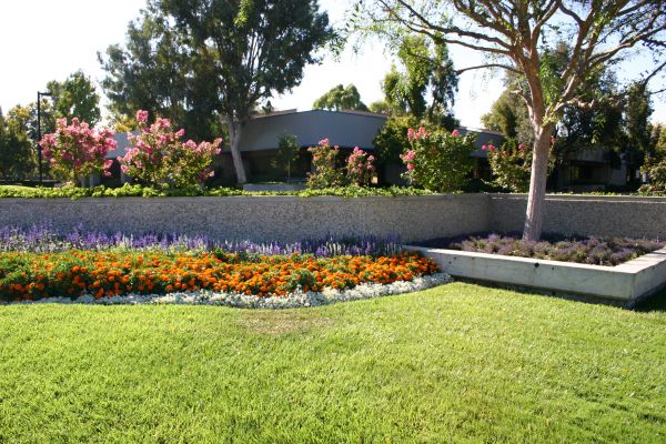 Commercial Landscape Service in Southport