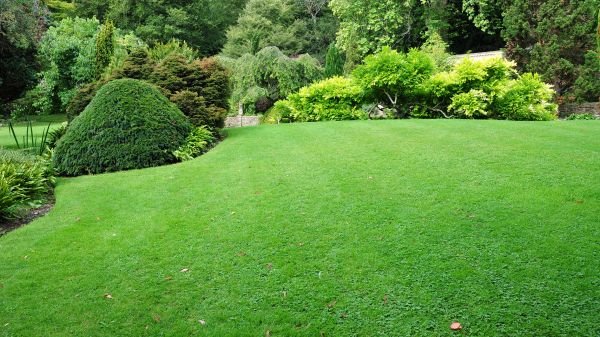 Commercial Landscape Design in Southport