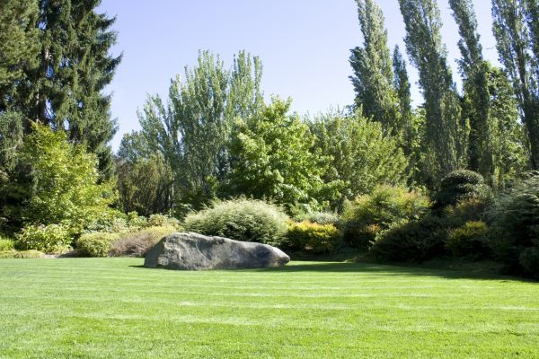 Yard Enlargement in Southport