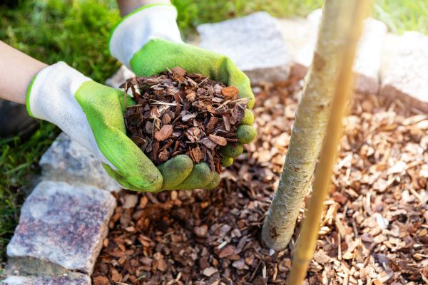 Tree Bark Delivery in Southport