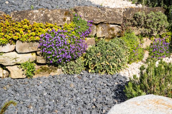 Landscaping Rocks Installation in Southport