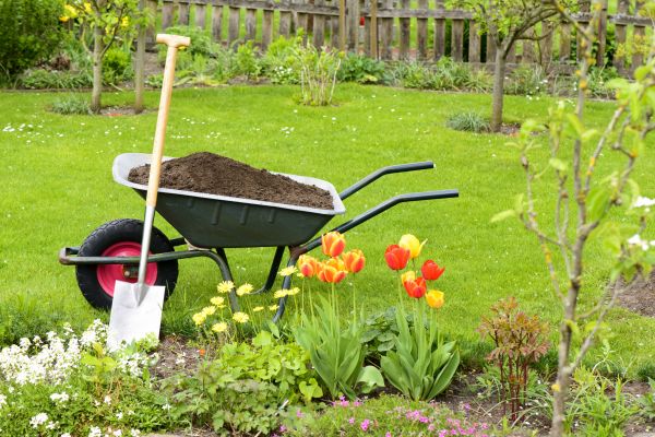 Spring Yard Renovation in Southport