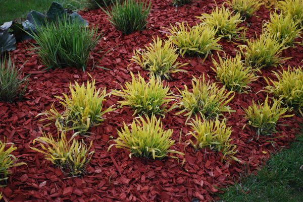 Red Mulch Installation in Southport
