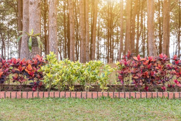 Small Garden Landscaping in Southport