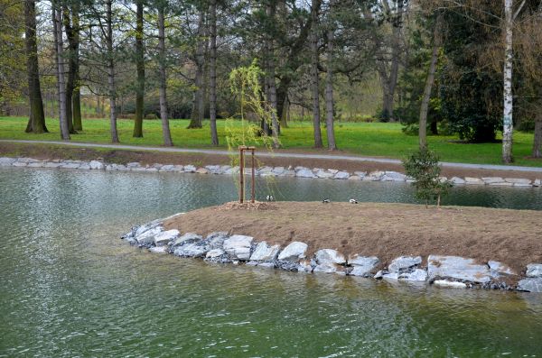 Pond Landscaping Service in Southport