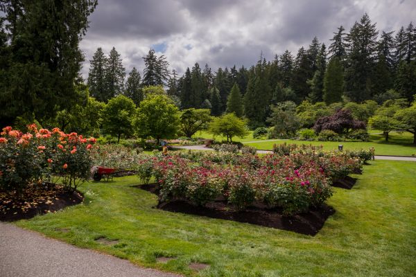 Flower Garden Landscaping in Southport