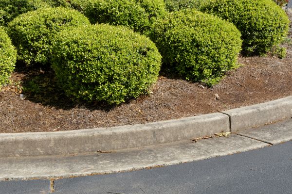 Pine Mulch Installation in Southport