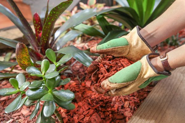 Cedar Mulch Installation in Southport