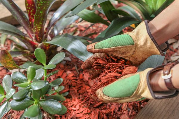 Residential Mulching in Southport