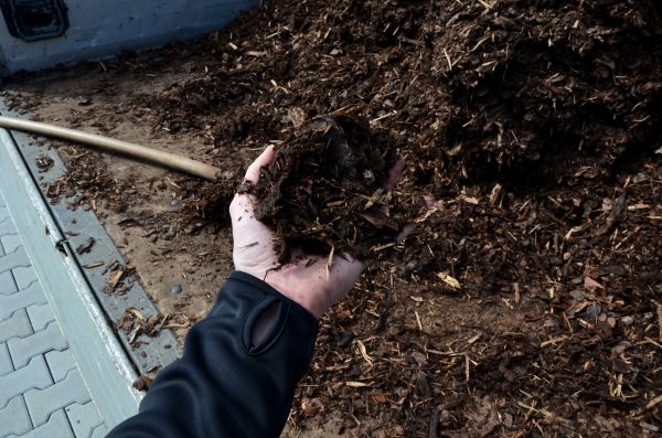 Condo Mulching in Southport