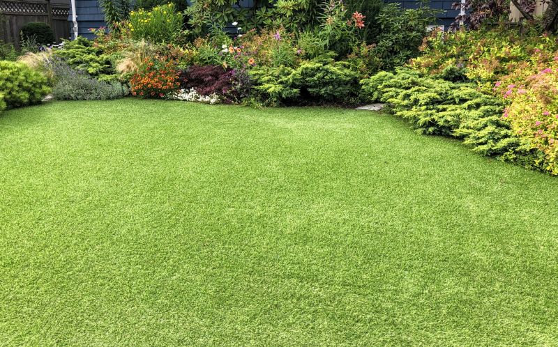 Lawn and Turf Installations